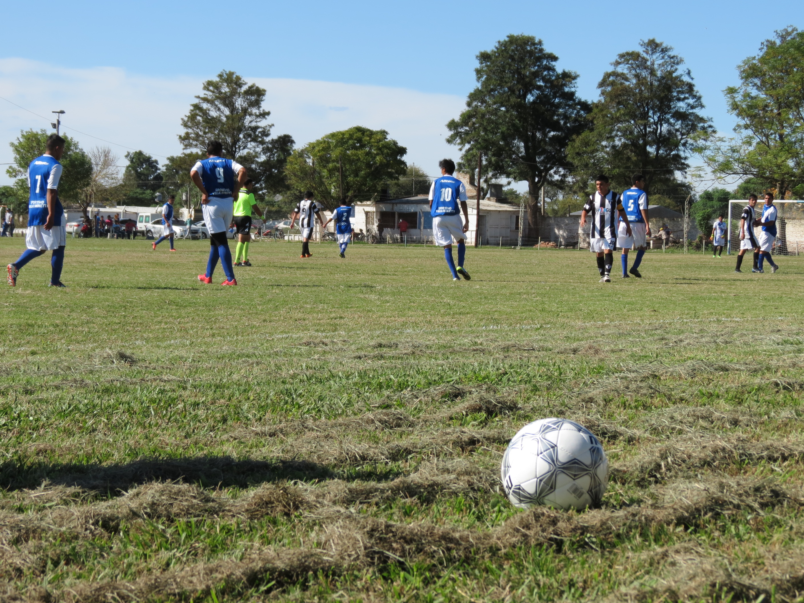 pelota
