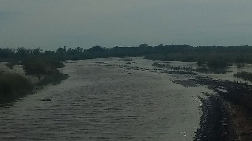 Agua-en-Gregoria-Pérez-de-Denis