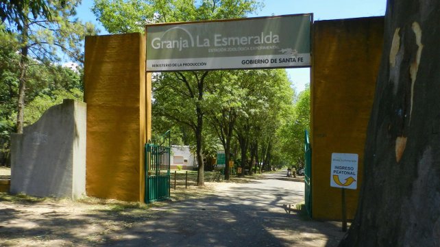 granja