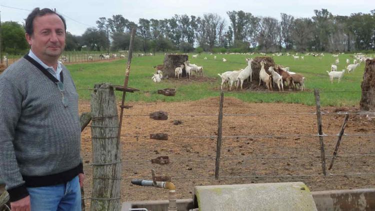 campo cordoba