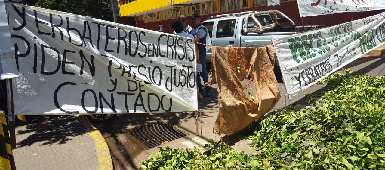 yerbatazo