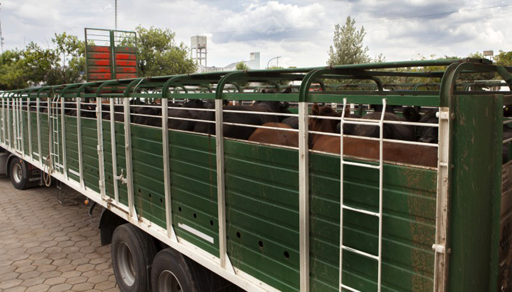 camion jaula