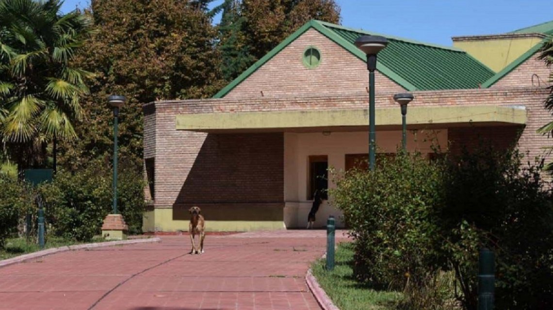 provolo