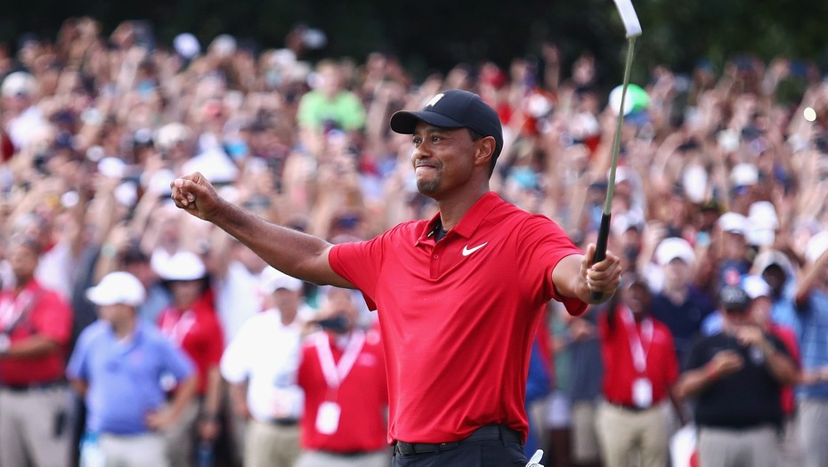 tiger