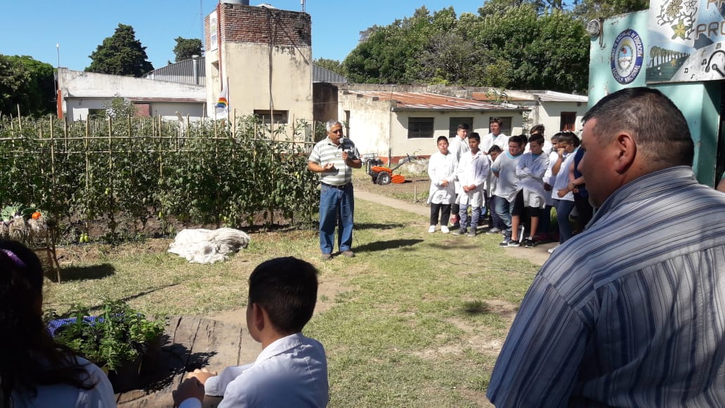 Escuela 6098 - 1 - copia