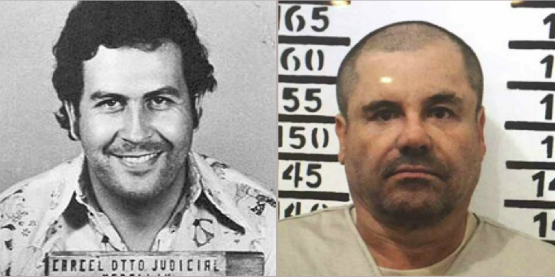 Narcofortunas la riqueza del Chapo Guzmán contra la de Pablo Escobar
