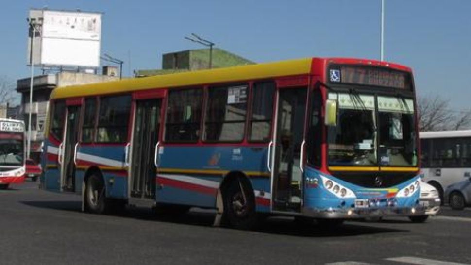 colectivero