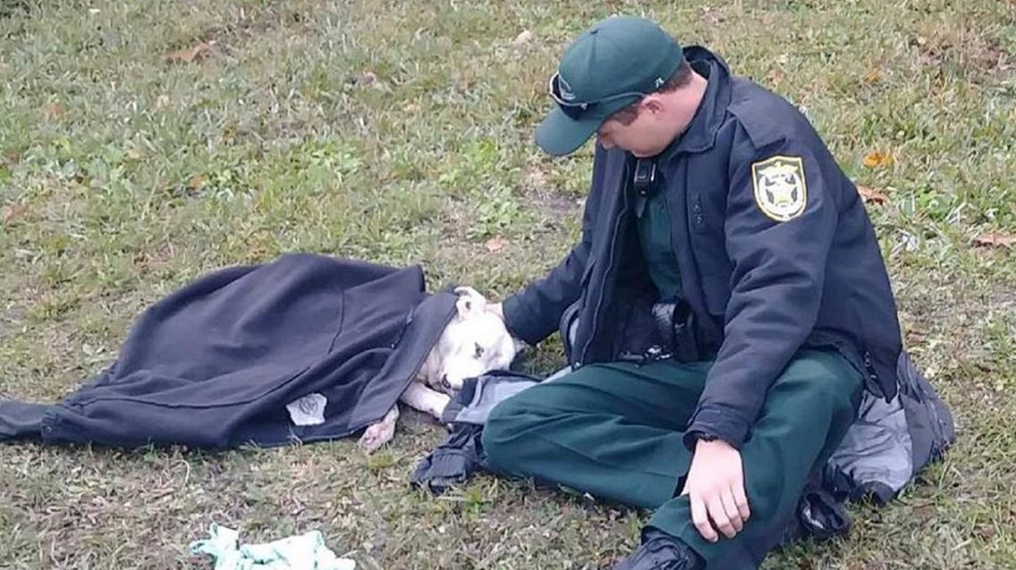 policia