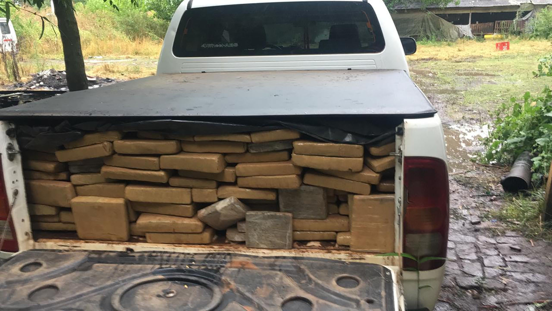 Secuestraron 1 marihuana pinamar