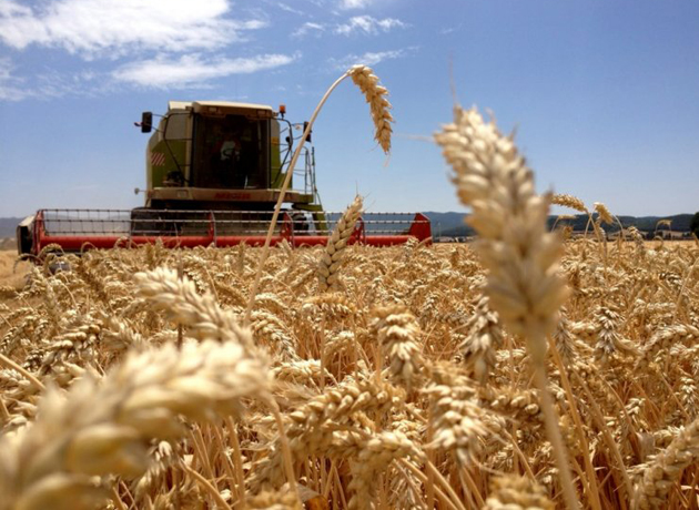 productores