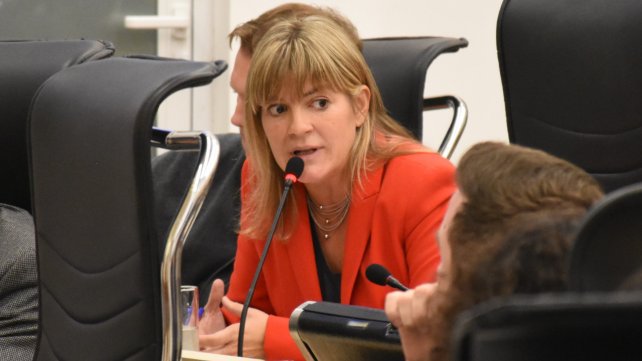 Verónica Irízar una aspirante del socialismo para suceder a Fein | Radio EME