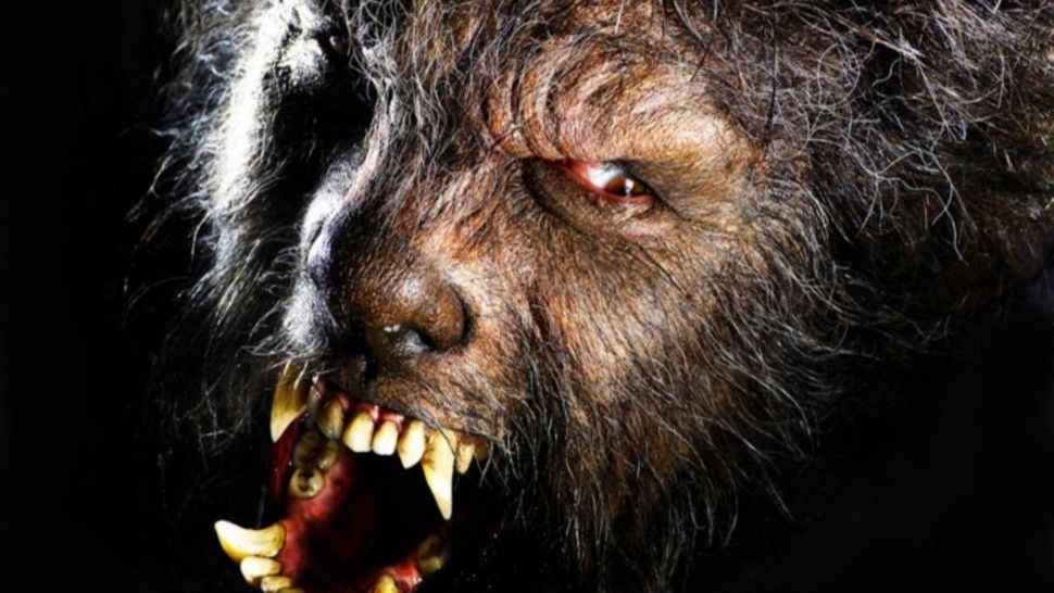 hombre lobo