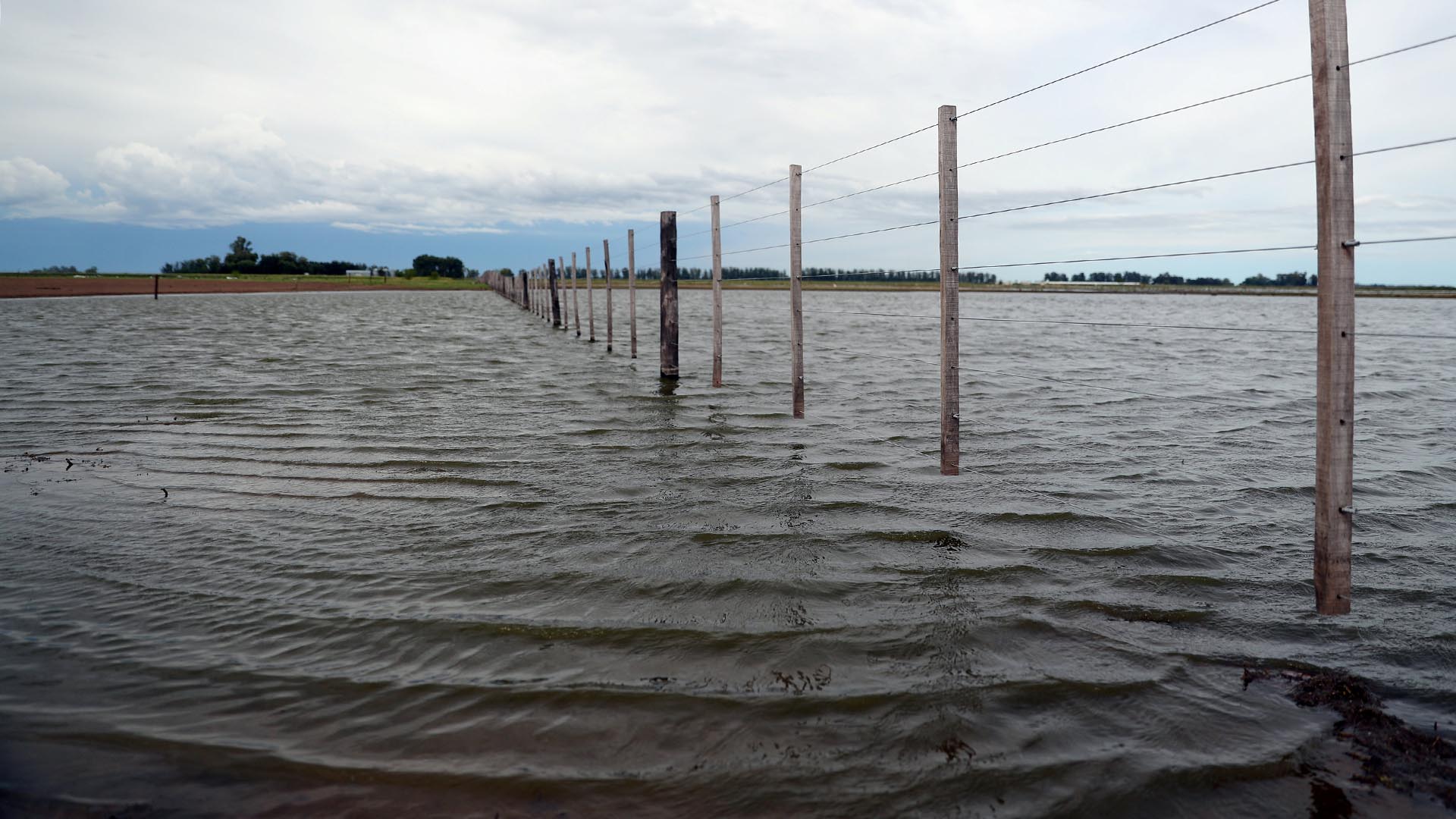 3 millones de hectáreas de soja afectadas por las inundaciones, según la Bolsa de Cereales de Buenos Aires inundacion