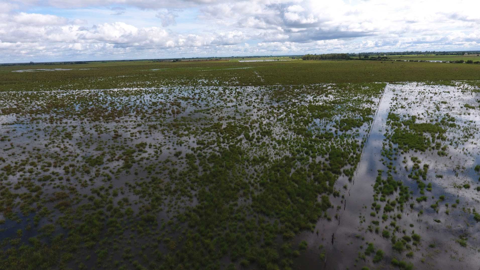 Desastre-agropecuario