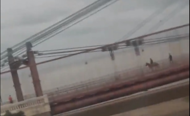 Puente Colgante