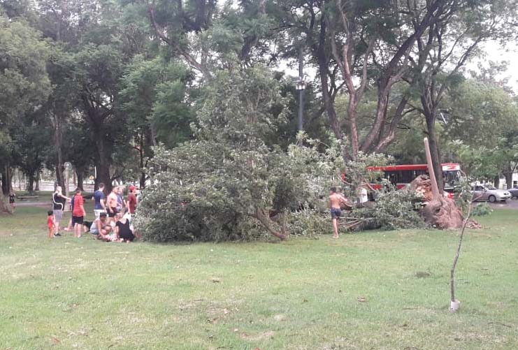 parque sur