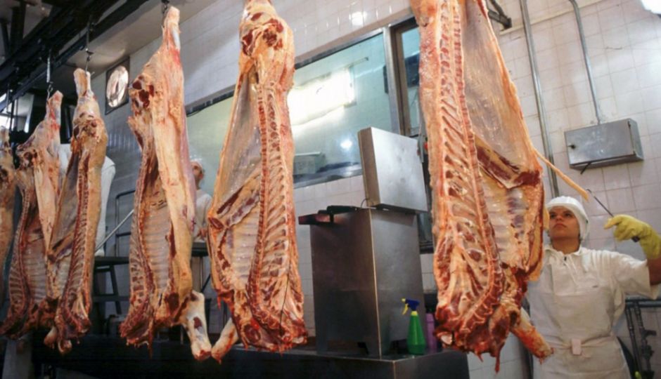 carne faena