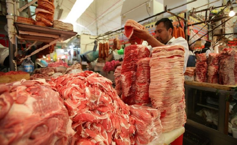 carne carne