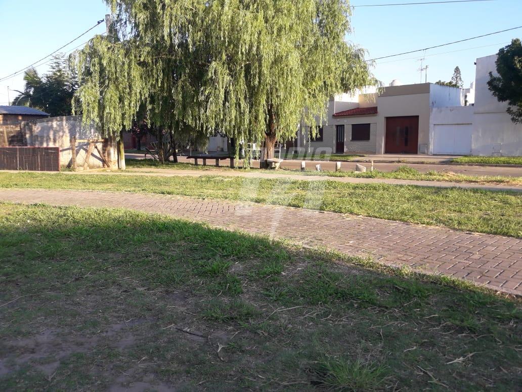 barrio Escalante