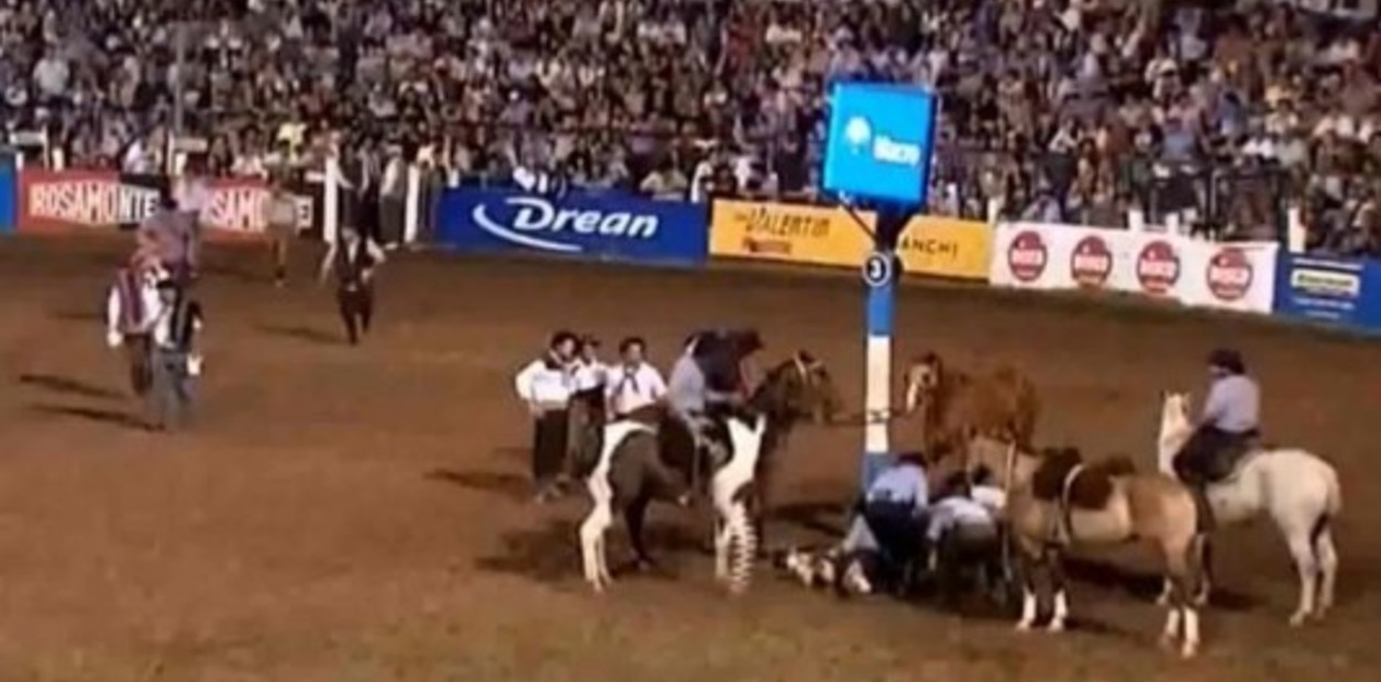 _hRb0ky0z_1256x620__1 caballo