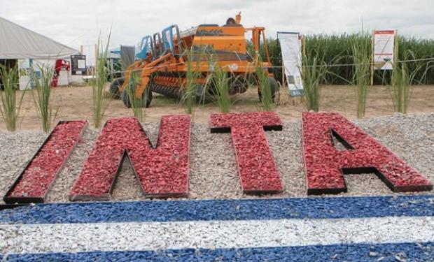 inta