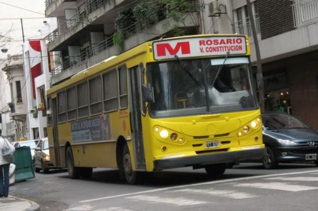 lineaM