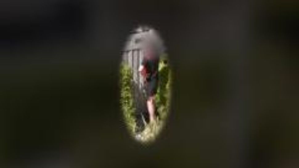 masturbador2_crop1548428558421.jpg_1734428432 (1)