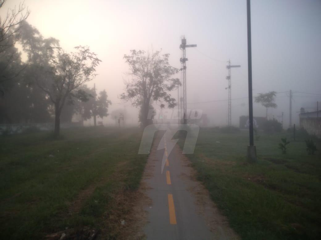 niebla