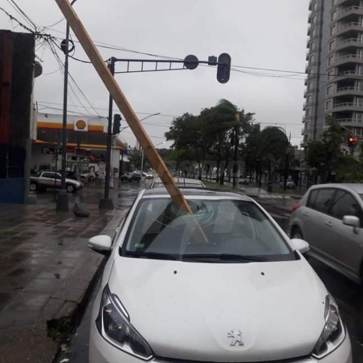 viga viga