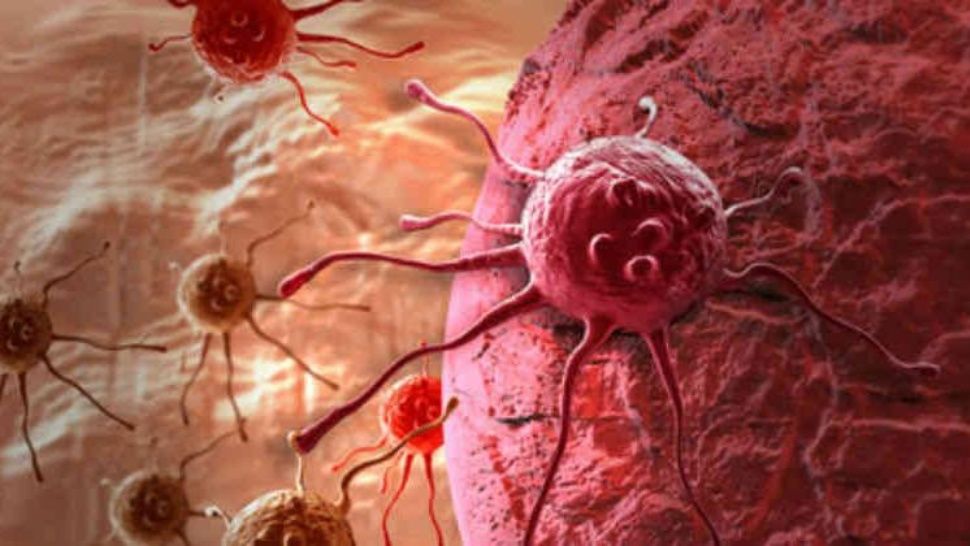 cáncer