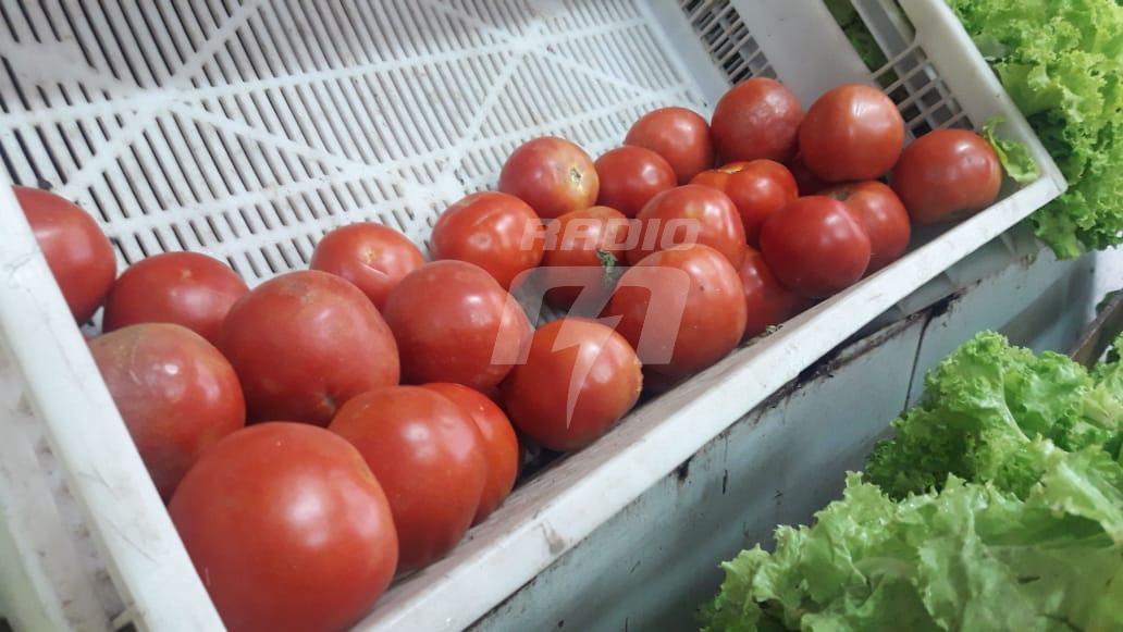tomate