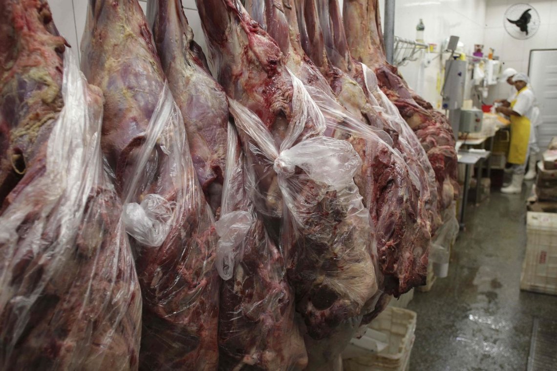 carne carne
