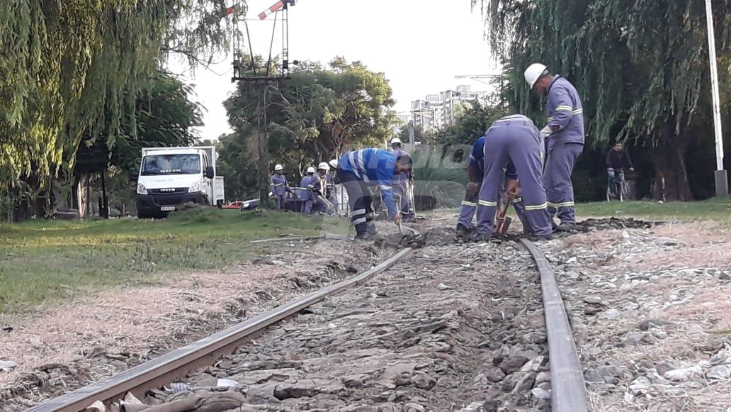 tren Belgrano Cargas