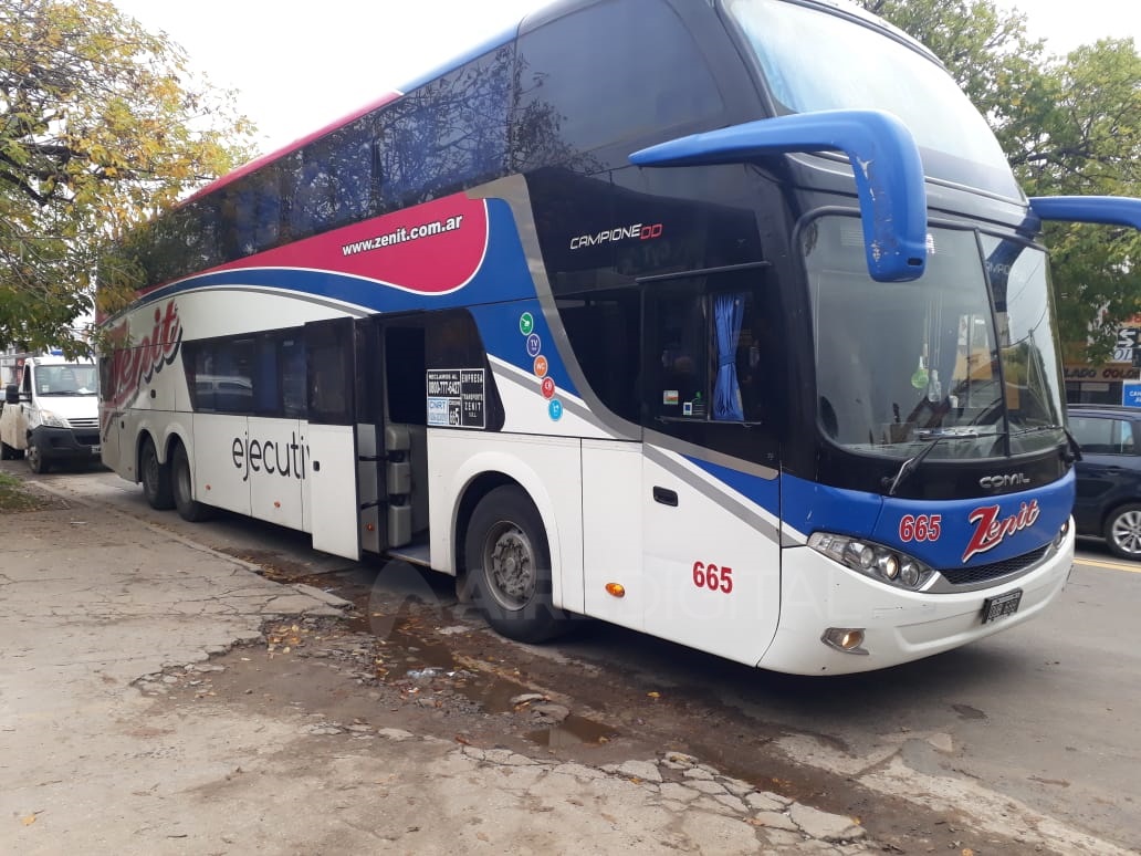 coelctivo-1_marca