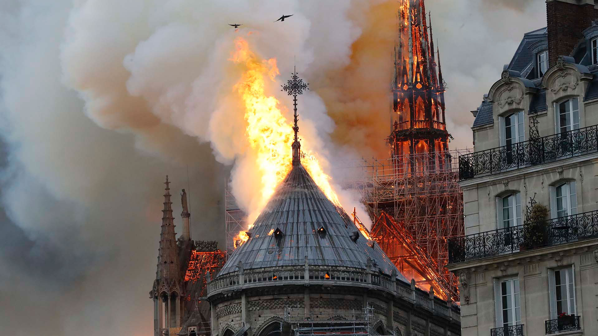 Cómo es "el bosque" de Notre Dame, el espacio altamente inflamable de la catedral donde comenzó el incendio Notre Dame
