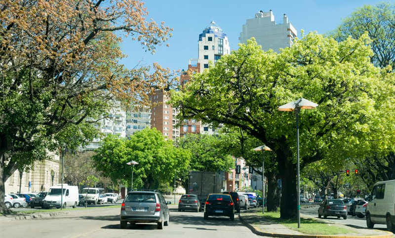 millonarboles