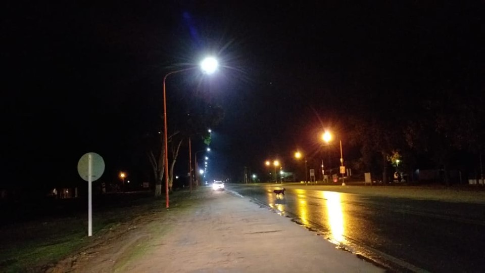 LED RUTA 1