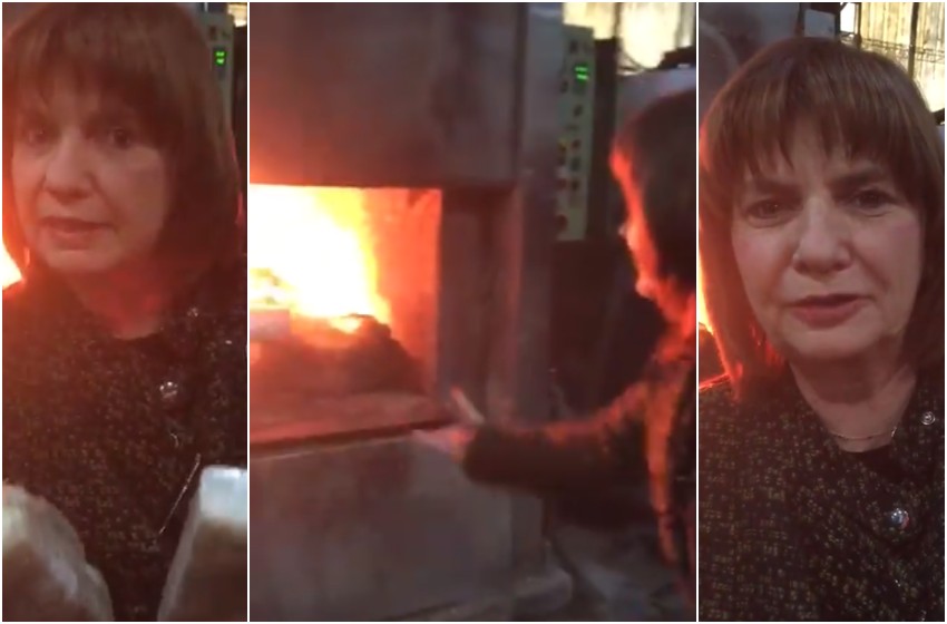 bullrich-1