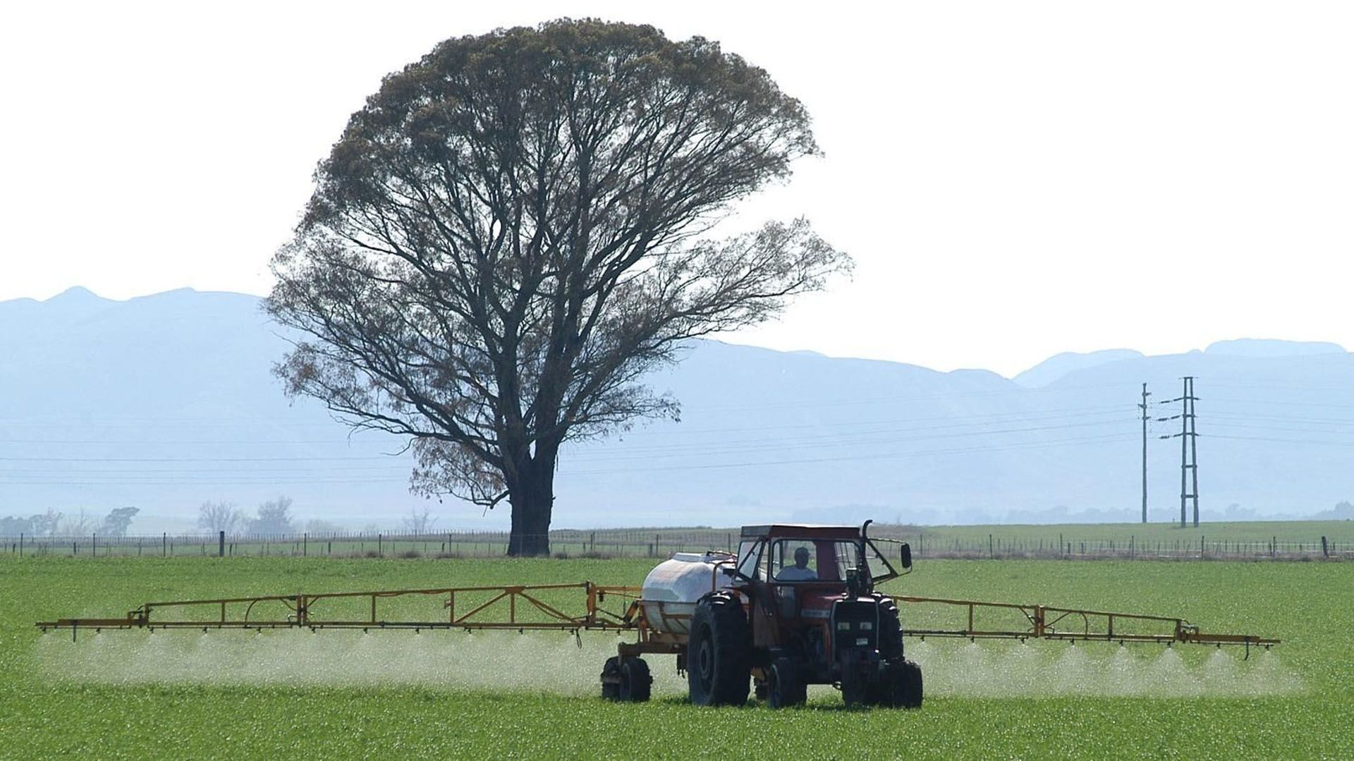 Más de la mitad de los productores agropecuarios aseguran que el resultado electoral no afectará el negocio