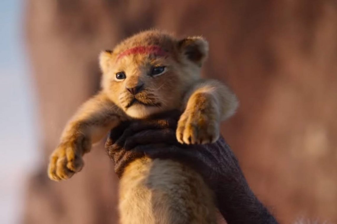 El Rey León