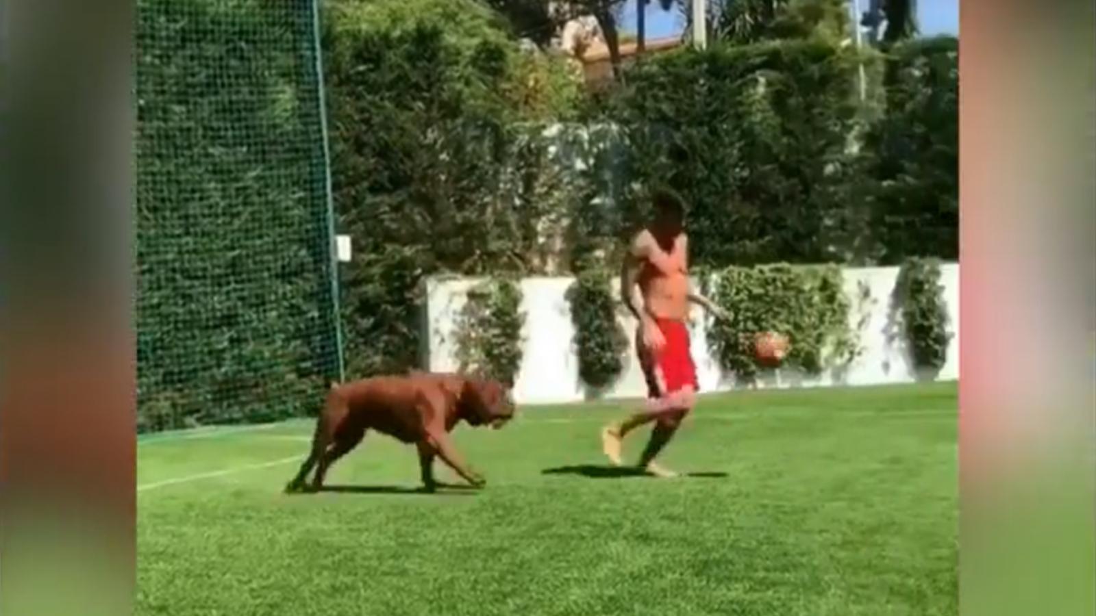 180730222637-argentina-messi-with-dog-perspectivas-buenos-aires-full-169