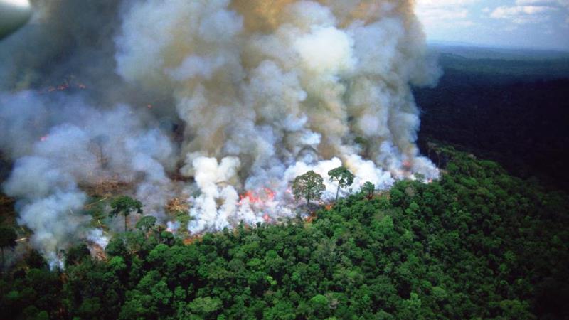 Amazonas: El humo puede llega al norte de la provincia de Santa Fe