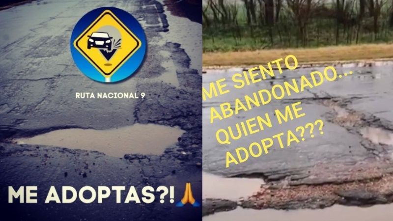 bache