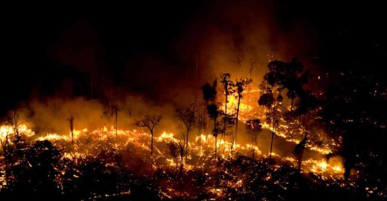 incendio-amazonas-3-780x405