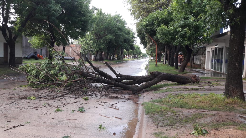 Tormenta 1