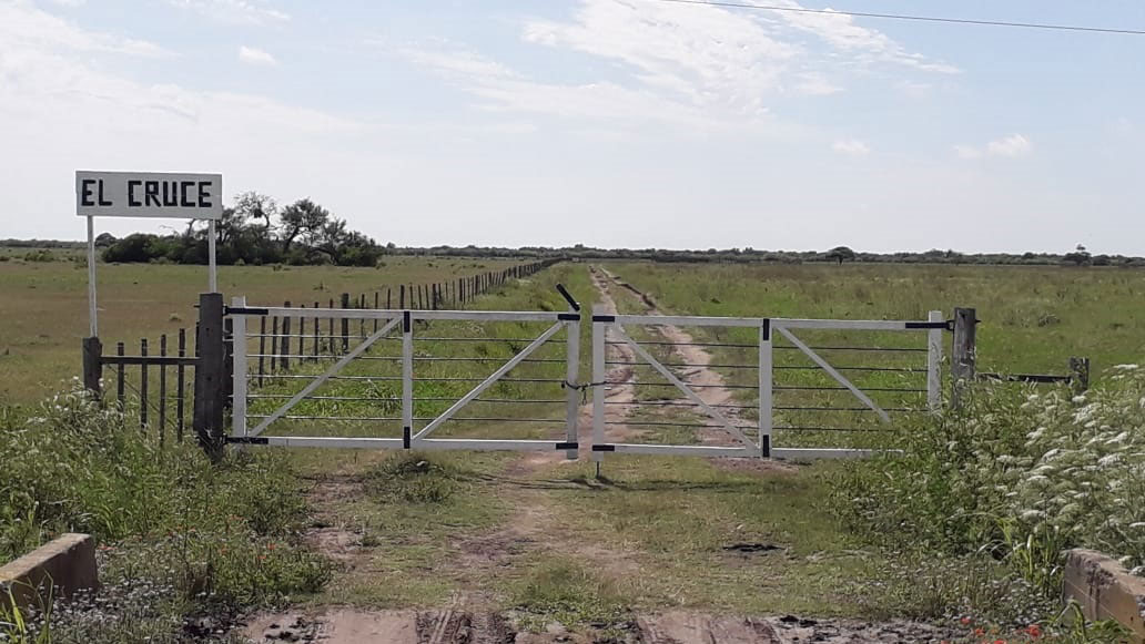 Campo-El-Cruce-Tostado