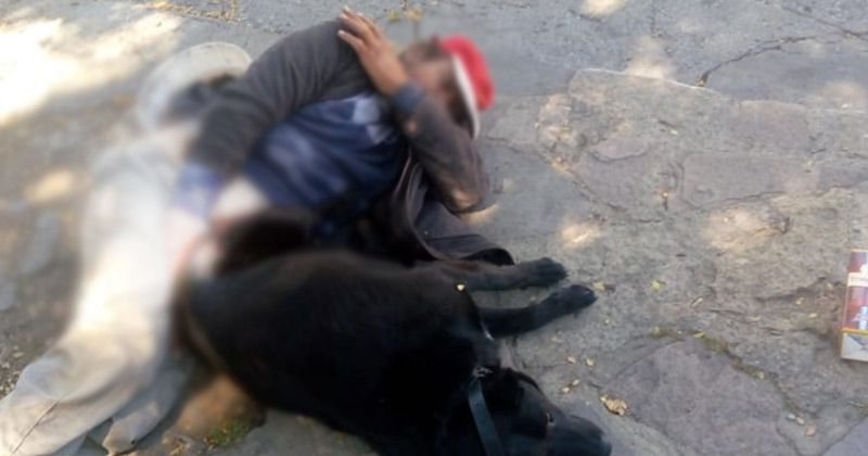 Zoofillia El Sol de Puebla