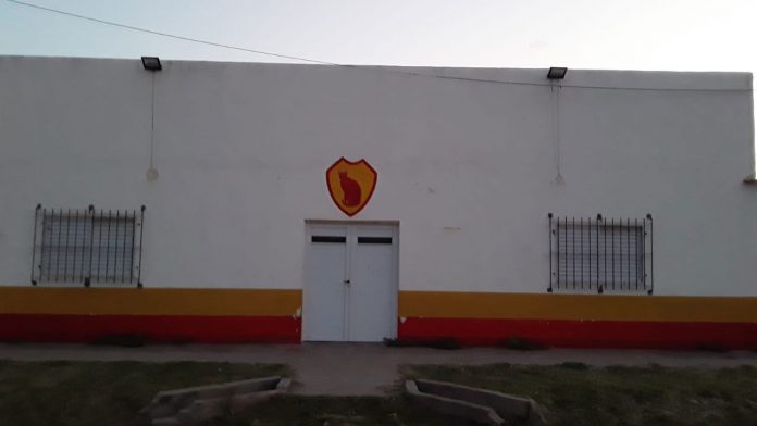Club-Gato-Colorado-6
