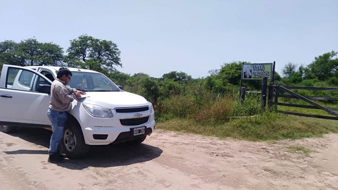 Monitoreo-langostas-Senasa-2