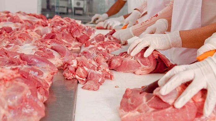 Assal - Carne
